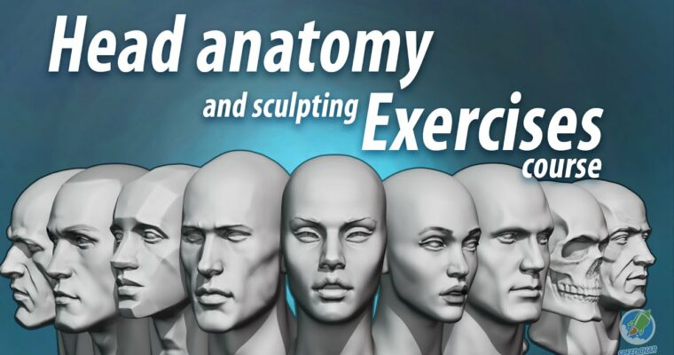 Head anatomy and sculpting exercises course by Nikolay Naydenov Head anatomy and sculpting exercises course by Nikolay Naydenov