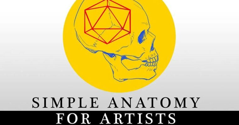 Simple Anatomy For Artists – 6 Week Course with Assignments Simple Anatomy For Artists – 6 Week Course with Assignments
