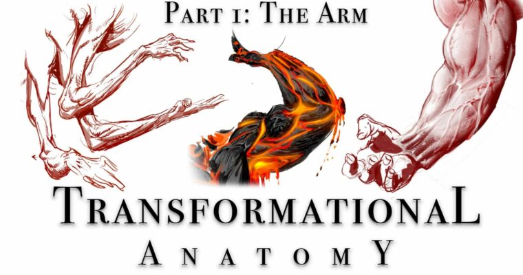 Transformational Anatomy Part 1 – The Arm by Steven Zapata