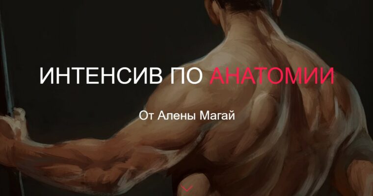 Anatomy Crash Course by Alyona Magay (Интесив по анатомии – Russian, Eng sub)