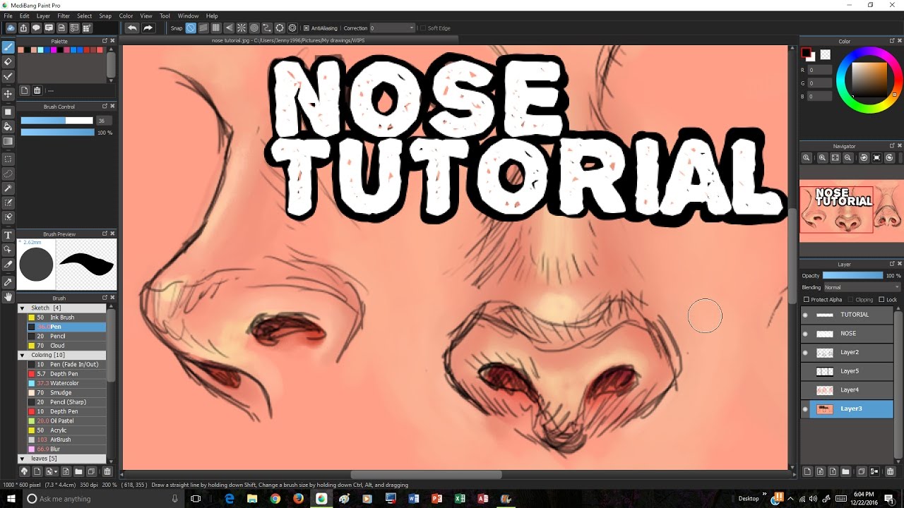Nose Tutorial by JYUNDEE