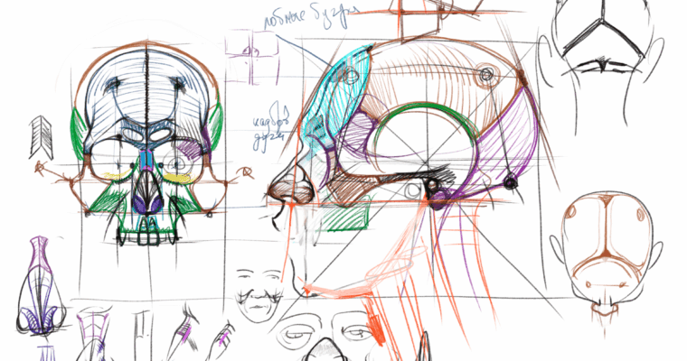 Human skull by Alexander Ryzhkin (Череп человека – Russian, Eng sub)