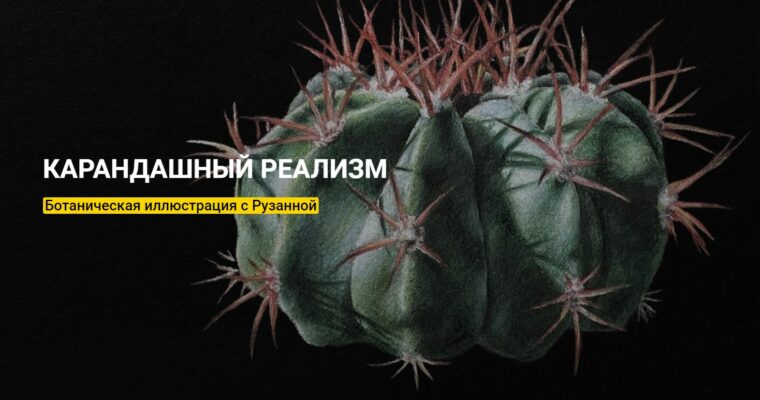 Pencil Realism. Botanical Illustration by Ruzanna Hayrapetyan (Карандашный реализм. Ботаническая иллюстрация – Russian, Eng sub)