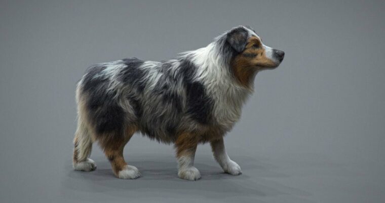 Realistic Dog Grooming for Production with XGen by Jordan Soler