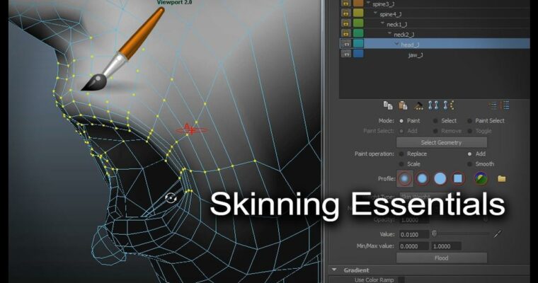 Skinning Essential Training