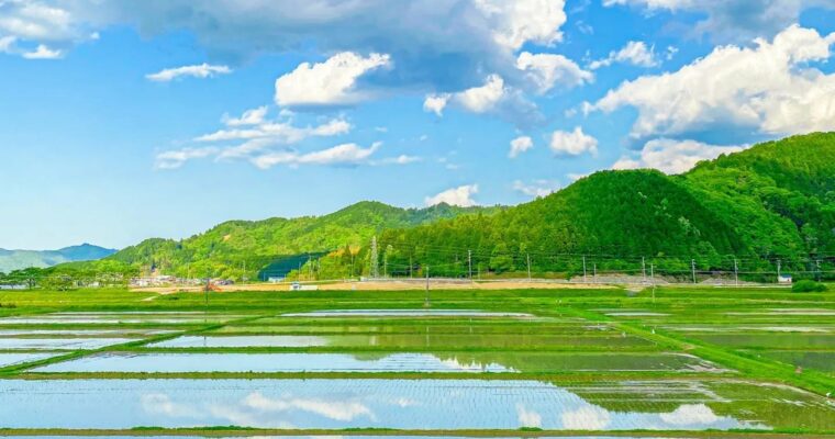 Fantastic World Projected by Reflection ~ Course on How to Take Landscape Photographs ~ by Shota (Japanese, Eng Spa sub)