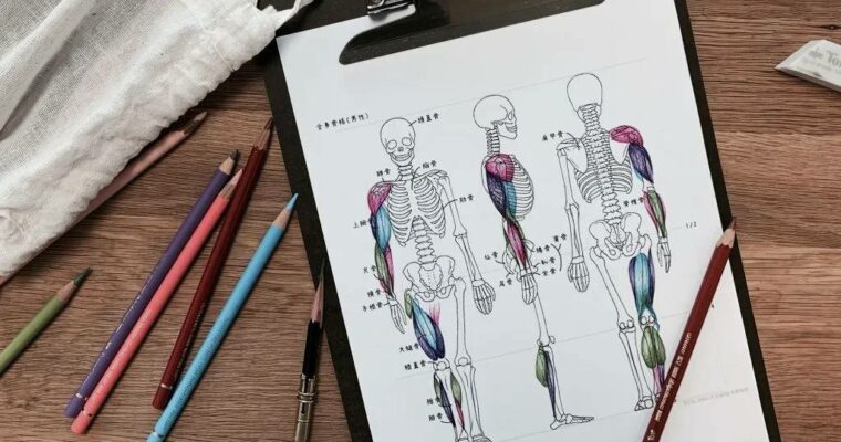 Figure Drawing 101 – Anatomy of the Human Body and Mind by Soeun (Korean, Eng Spa sub)