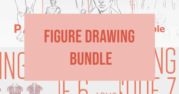 Figure Drawing Tutorials Special Special Bundle by Fernanda Suarez
