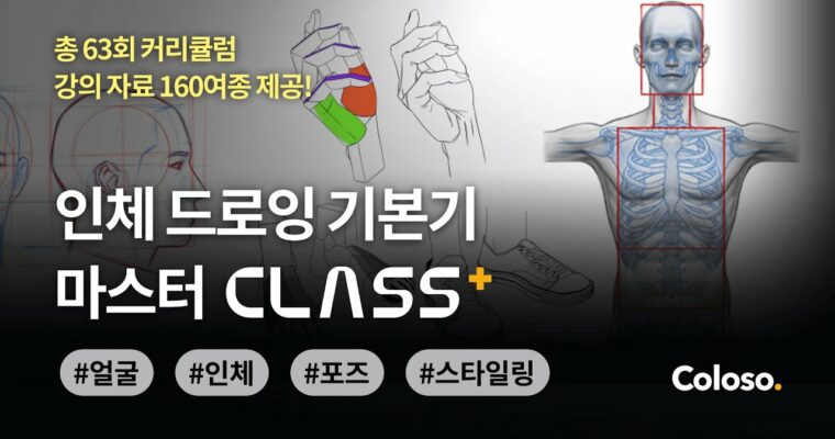 Mastering the Basics of Human Body Drawing CLASS+ – 인체 드로잉 기본기 마스터 CLASS+ [Coloso, Yoo Yong-woo, Heo Sung-moo, Kim Han-soo, Group Buy]