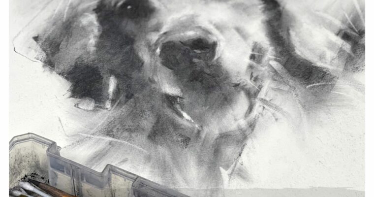 Animal Portraits in Charcoal by Robert Kelley
