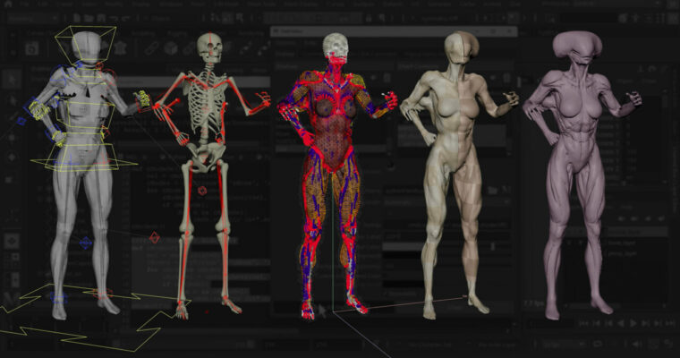 Introduction to Ziva VFX Volume 2