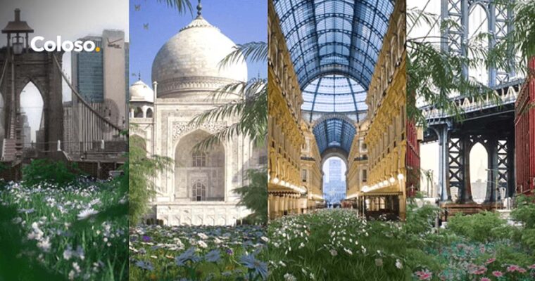 Cover Image Creating Surreal Dreamworlds with Cinema 4D & Octane [Coloso, Timo Helgert, Group Buy]