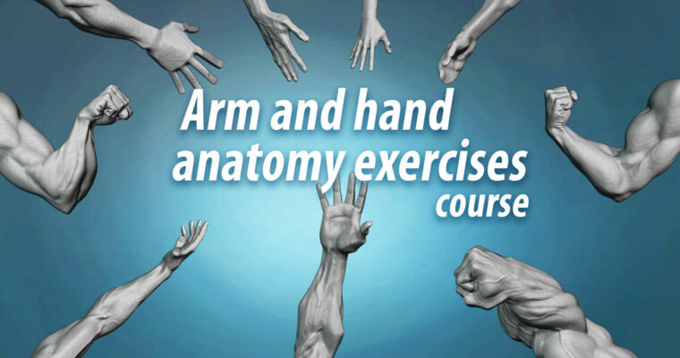Arm and hand anatomy exercises course by Nikolay Naydenov