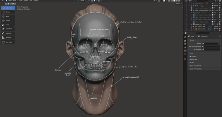 Master Sculpting Heads – 3D Blender Course – New Update! (V1.3 Ultimate Version)