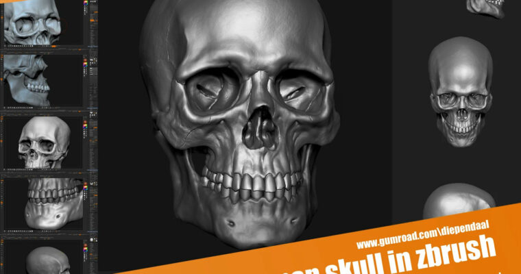Modeling the human skull by diependaal