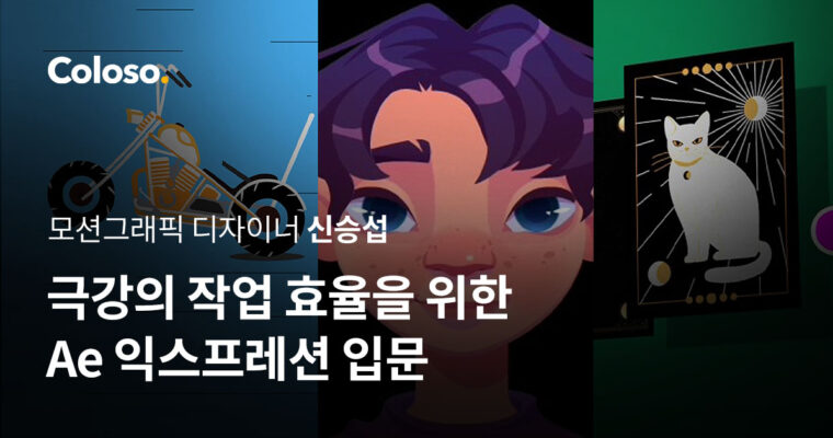 Introduction to Ae Expression for extreme work efficiency – 극강의 작업 효율을 위한 Ae 익스프레션 입문 [Coloso, Jaehiekr (Shin Seung-sup), Group Buy]