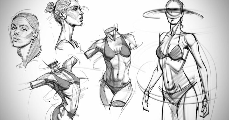 The Anatomy Survival Guide by Josh Black