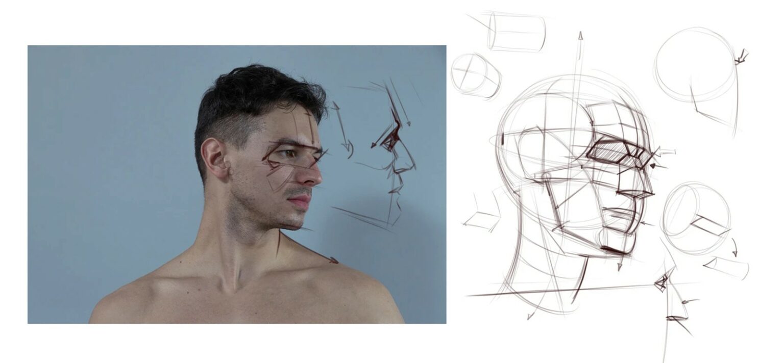 Head Drawing and Construction [Proko - Michael Hampton, Group-Buy]