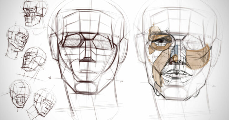 Head Drawing and Construction [Proko – Michael Hampton, Group-Buy]