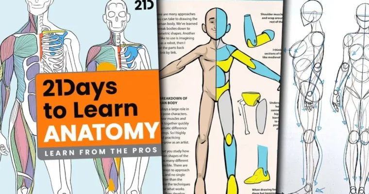 Learn Anatomy in 21 Days by Rodgon