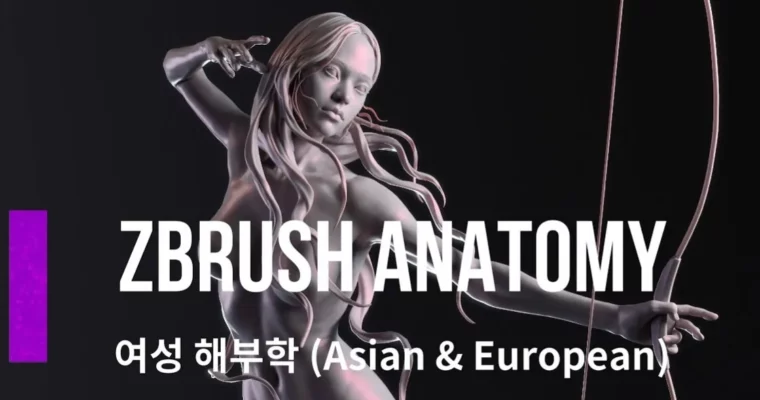 Zbrush Senior Anatomy (Male, Female) by Hyun seok Jin