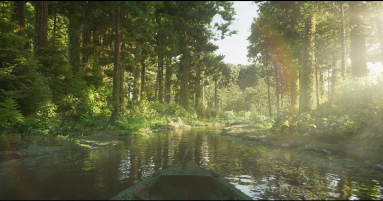 CG Forest Deep Compositing by Shahid Gire