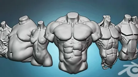 Torso anatomy exercises course by NIkolay Naydenov