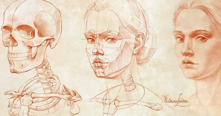 Human Anatomy for Artists by Vladimir London and Natalie Richy