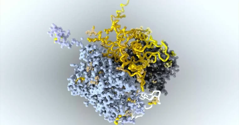 HS-227 – Visualizing Protein Data Bank Information (2023) by Kate Xagoraris