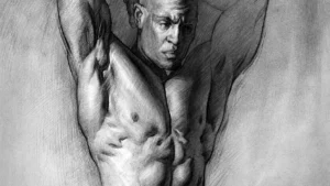 A detailed anatomical drawing of the human torso showing layered muscles and skeletal landmarks.