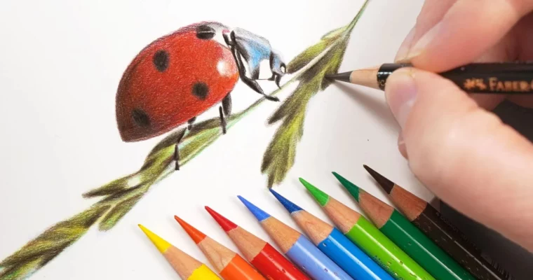 Beginner’s Guide to Realistic Drawings by Gemma Chambers Beginner’s Guide to Realistic Drawings by Gemma Chambers