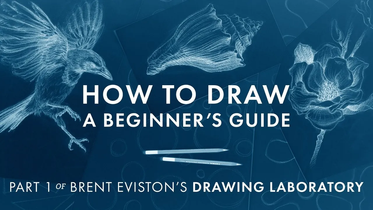 Labdraw Steps How to Draw - A Beginner’s Guide - Part 1 of The Drawing Laboratory by ...
