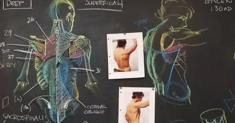 Artistic Anatomy by Rey Bustos Artistic Anatomy by Rey Bustos