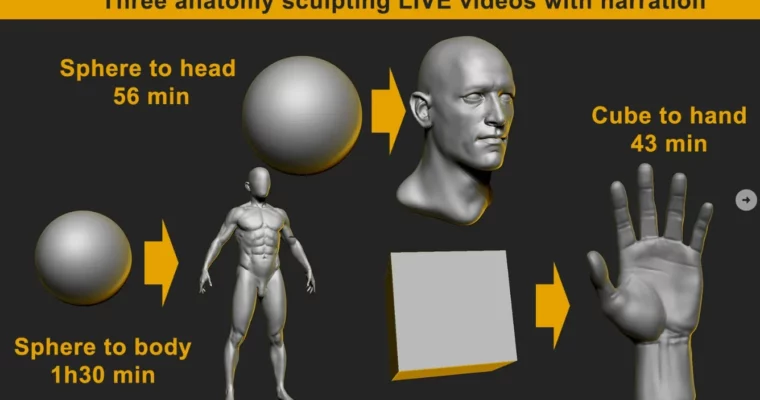 Anatomy sculpting live in Zbrush – Hand, Head and whole body by Nikolay Naydenov Anatomy sculpting live in Zbrush – Hand, Head and whole body by Nikolay Naydenov